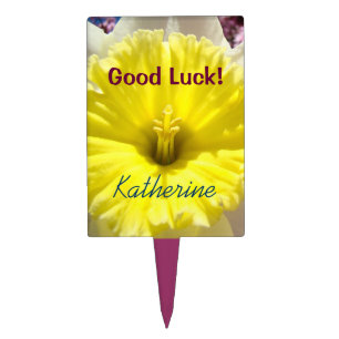 Good Luck! cake picks Add Name Graduation College