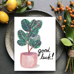 Good Luck Calathea Prayer Plant Watercolor Postcard<br><div class="desc">Check out this colorful watercolor calathea plant. You can keep the text or delete and add your own!
 
 Visit my shop for more!</div>