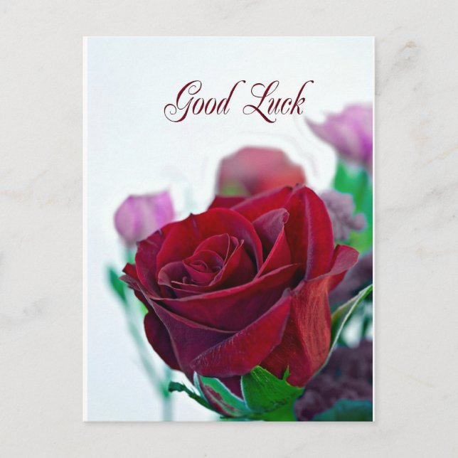 Good luck card with a classic red rose (Front)