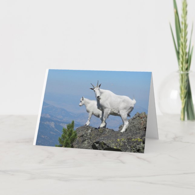 Good Luck Card with Mountain Goat (Front)