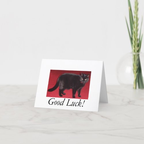 Good Luck cat Card
