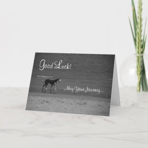 Good Luck Dog on the Beach Card