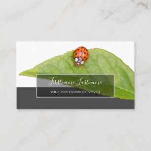 Good luck dotted ladybugs elegant gray rectangle b business card