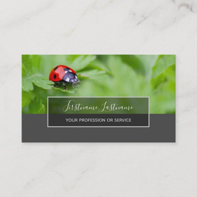 Good luck dotted ladybugs elegant gray rectangle b business card (Front)