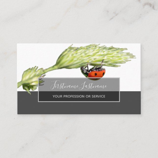Good luck dotted ladybugs elegant gray rectangle business card (Front)