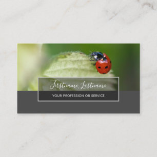 Good luck dotted ladybugs elegant gray rectangle business card