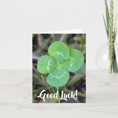 Good Luck Four Leaf Clover Card