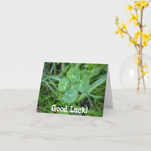 Good Luck Four Leaf Clover Card