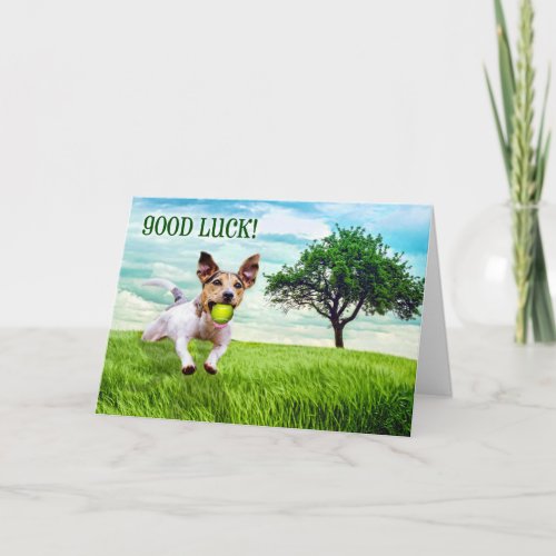 Good Luck Jack Russel Terrier Playing Fetch Card