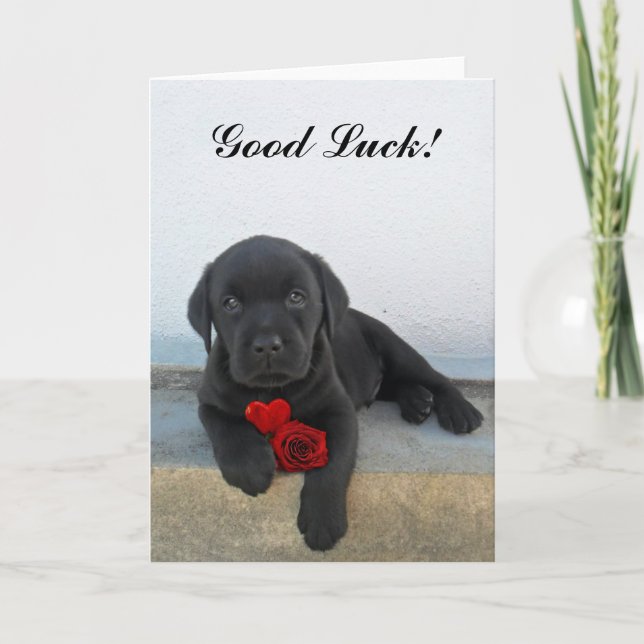 Good Luck labrador puppy Card (Front)