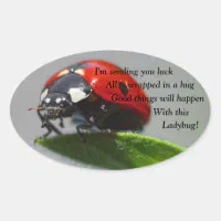 Lucky Ladybug Stickers [Book]