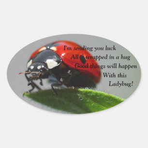 Good Luck Ladybug Oval Stickers