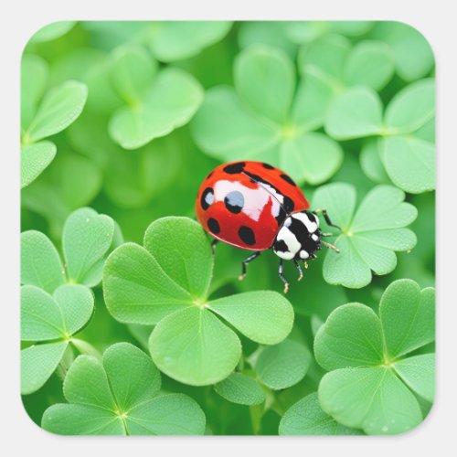 Good Luck Ladybug  Square Sticker
