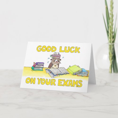 Good Luck on your Exams Greeting  Card