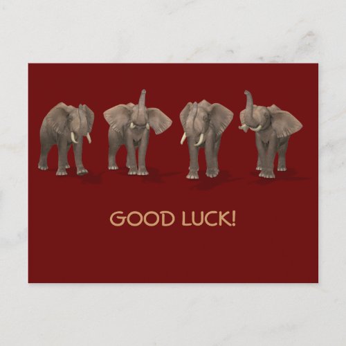 Good Luck Postcard