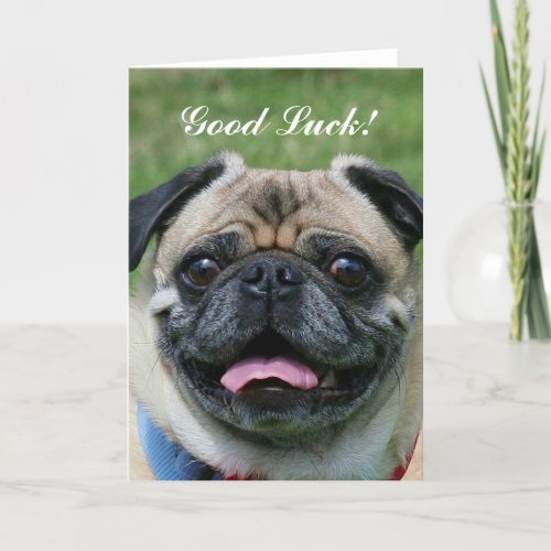 Good Luck Pug Dog Card