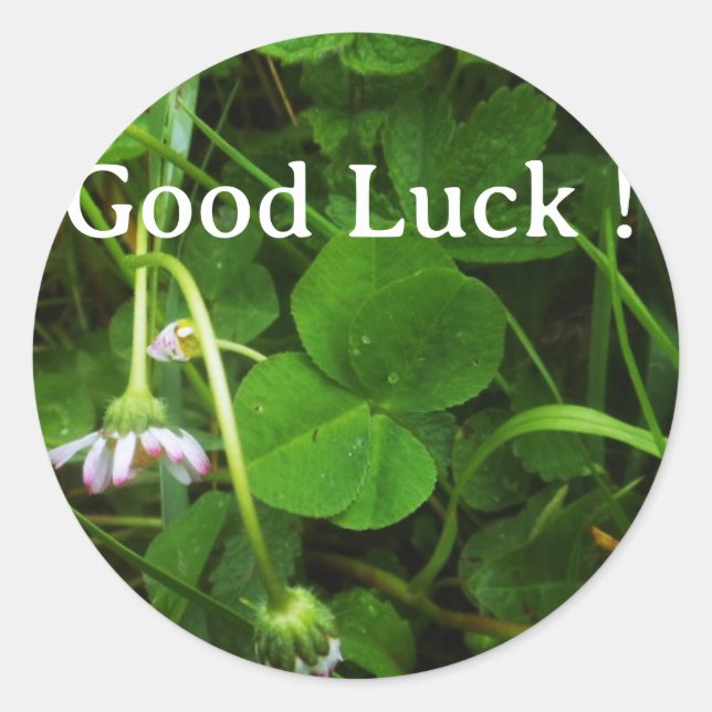Good Luck Sticker! Classic Round Sticker (Front)