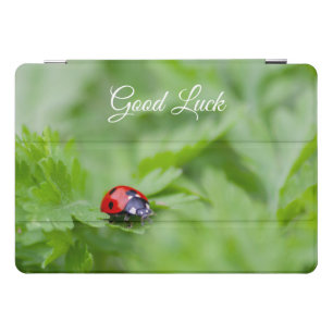 Good luck with cute little ladybug! iPad pro cover