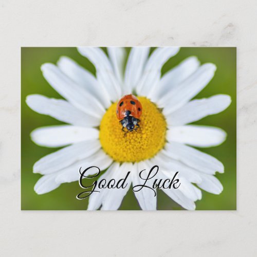 Good luck with cute little ladybug postcard