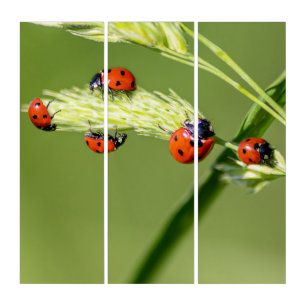 Good luck with cute little ladybugs triptych
