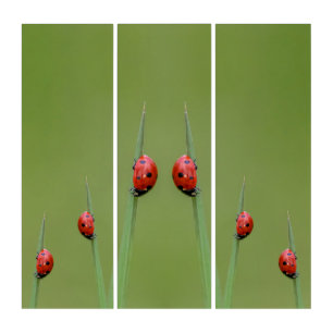 Good luck with cute little ladybugs triptych