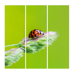 Good luck with cute little ladybugs triptych