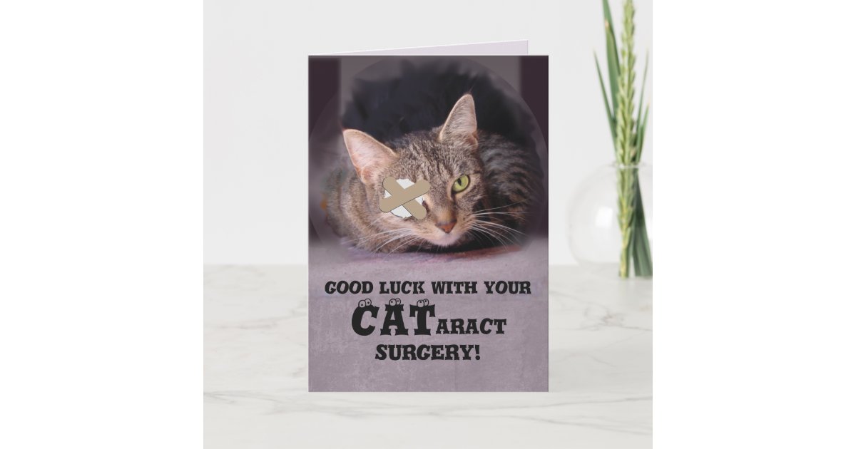 Good Luck with your CATaract Surgery Card | Zazzle.com
