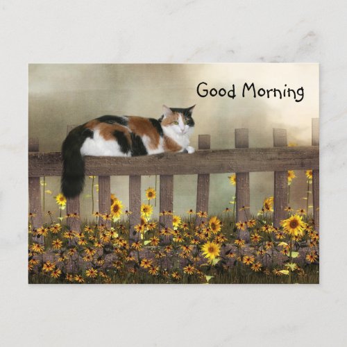Good morning calico kitty postcard