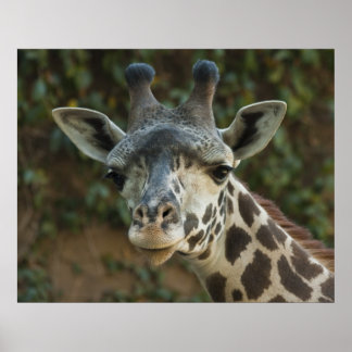 Good Morning Friend Poster