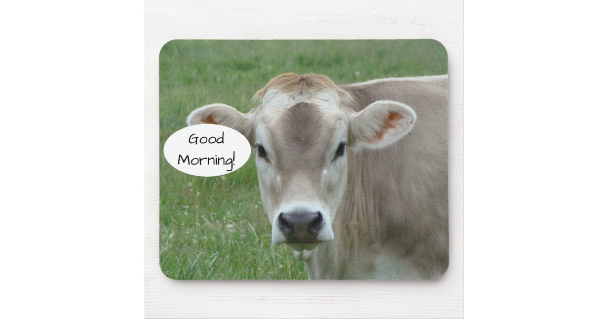 Jersey Cow Baby Portrait - Farm Nursery Decor