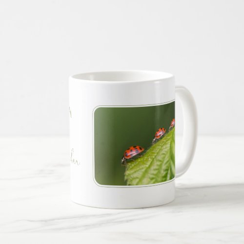 Good morning ladybugs motivational quote mindset coffee mug