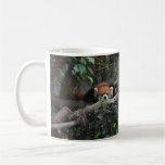 Good morning, little Red Panda. Coffee Mug