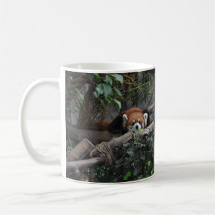 Good morning, little Red Panda. Coffee Mug