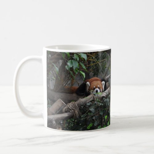 Good morning little Red Panda Coffee Mug