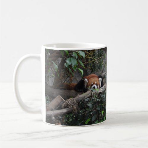 Good morning little Red Panda Coffee Mug