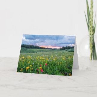 Good Morning Meadow, Card