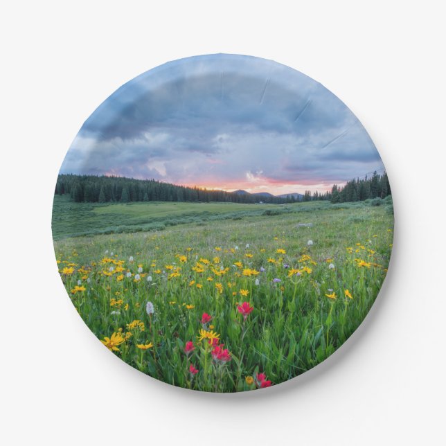 Good Morning Meadow, Paper Plates (Front)