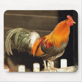 Good Morning Mouse Pad