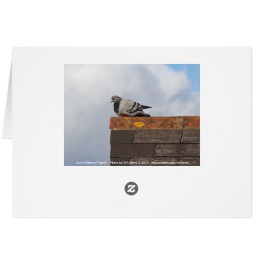 Good Morning Pigeon (Back Horizontal)