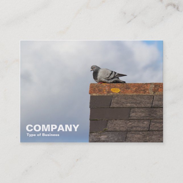Good Morning Pigeon Business Card (Front)
