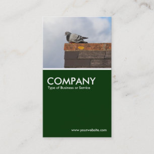 Good Morning Pigeon - Dark Green Business Card