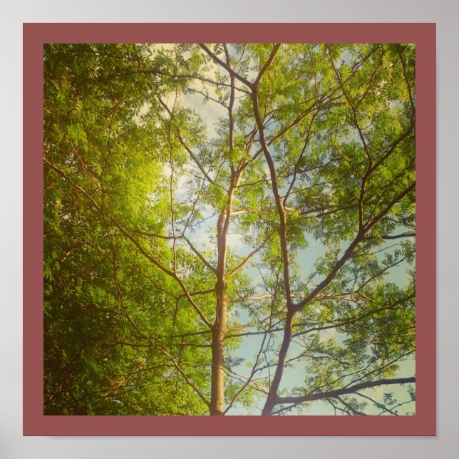 Good Morning Poster (Front)