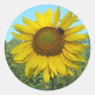 Good Morning Sunshine Classic Round Sticker