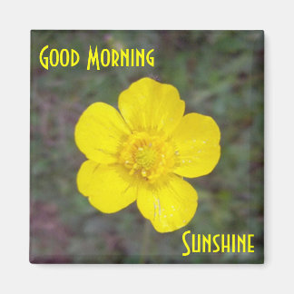 Good Morning Sunshine Magnet