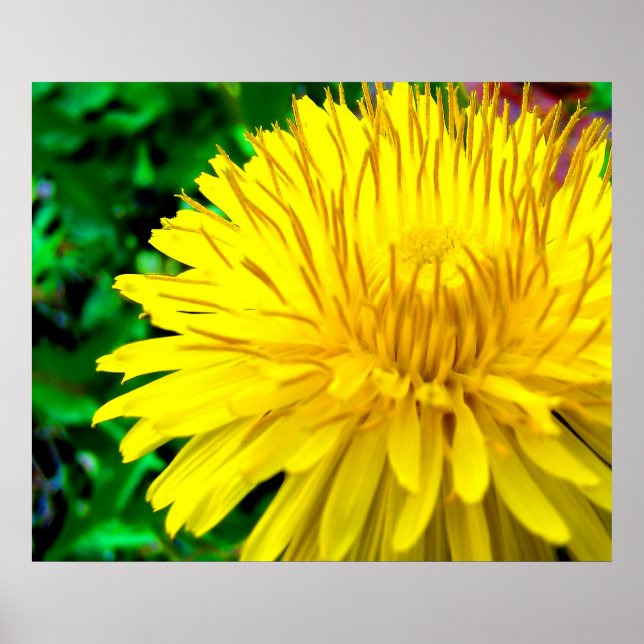 Good Morning Sunshine Poster (Front)