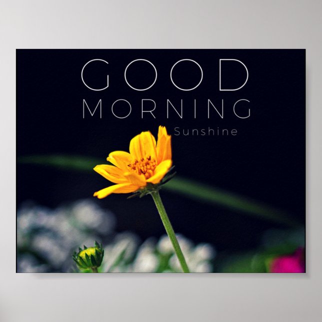 Good Morning Sunshine Poster Print (Front)