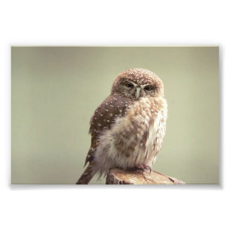 Good Morning to you photo Print