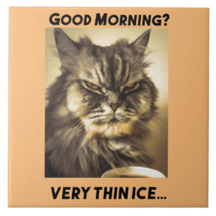 Good morning! Very thin ice. Cat with ironic touch Ceramic Tile