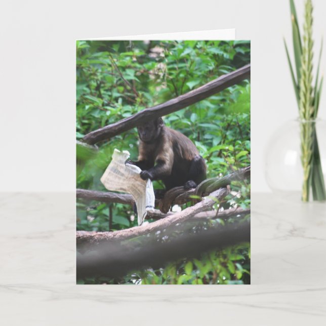 Good News Monkey says Congratulations Card (Front)