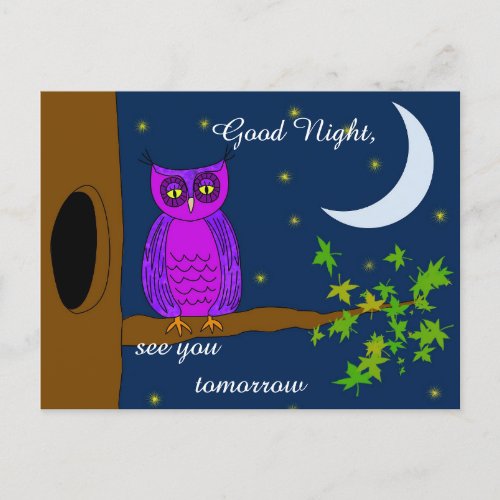 Good Night Owl Message Postcard